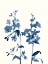 Picture of INDIGO WILDFLOWERS III