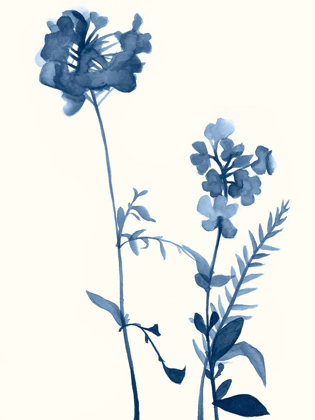 Picture of INDIGO WILDFLOWERS V