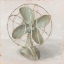 Picture of OLD SCHOOL II