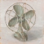 Picture of OLD SCHOOL II