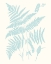Picture of SERENE FERNS I