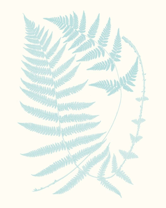 Picture of SERENE FERNS III