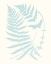 Picture of SERENE FERNS III