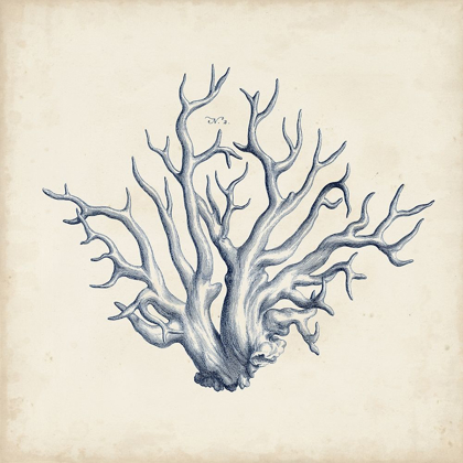 Picture of CORAL TRIO IN INDIGO II