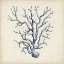 Picture of CORAL TRIO IN INDIGO III