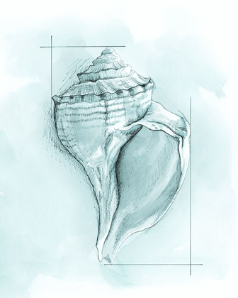 Picture of COASTAL SHELL SCHEMATIC I