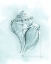 Picture of COASTAL SHELL SCHEMATIC I
