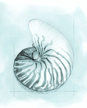 Picture of COASTAL SHELL SCHEMATIC II