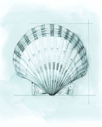 Picture of COASTAL SHELL SCHEMATIC III