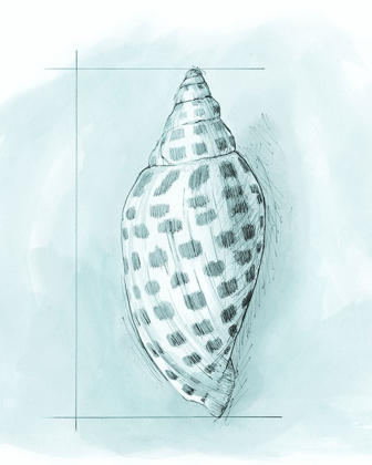 Picture of COASTAL SHELL SCHEMATIC IV