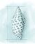 Picture of COASTAL SHELL SCHEMATIC IV