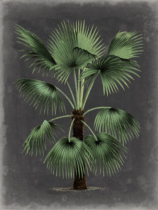 Picture of DRAMATIC PALM II