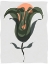 Picture of MOD QUIRK VI