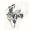 Picture of MONOCHROME MISSIVE II