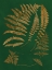 Picture of GILDED FERNS III