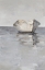 Picture of BOAT ON THE HORIZON I