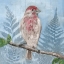 Picture of EASTERN SONGBIRD I