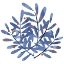 Picture of BOTANICAL IMPRESSIONS II