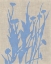 Picture of DUSK BOTANICAL I