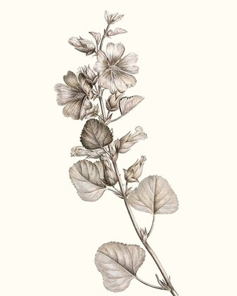 Picture of NEUTRAL BOTANICAL STUDY I