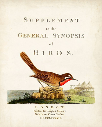 Picture of GENERAL SYNOPSIS OF BIRDS