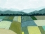Picture of ELEVATED CROP I