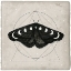 Picture of MIDNIGHT MOTH I