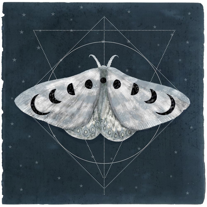 Picture of MIDNIGHT MOTH II