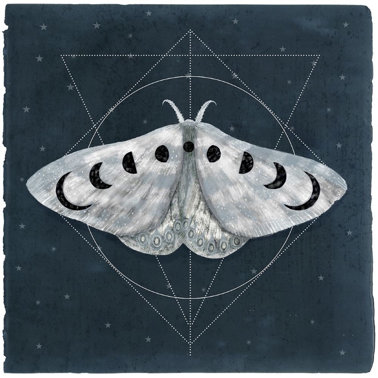Picture of MIDNIGHT MOTH II