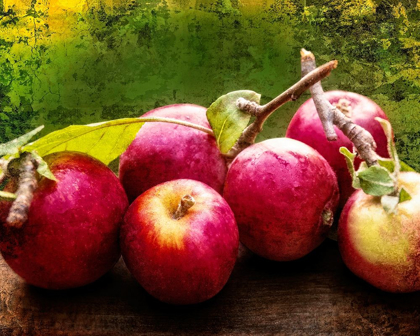 Picture of THE HARVEST I