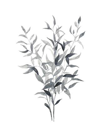 Picture of PAYNES GREY BOTANICALS I