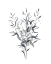 Picture of PAYNES GREY BOTANICALS I