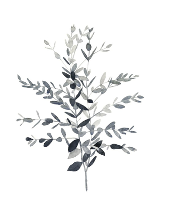 Picture of PAYNES GREY BOTANICALS II