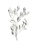 Picture of PAYNES GREY BOTANICALS IV