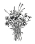 Picture of BLACK AND WHITE BOUQUET I