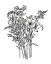 Picture of BLACK AND WHITE BOUQUET II