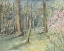 Picture of VIRGINIA WOODS I