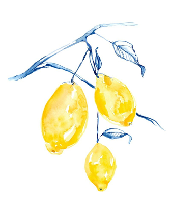 Picture of WATERCOLOR LEMONS I