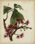 Picture of NON-EMBELLISHED ANTIQUE FRINGE TREE