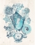 Picture of COASTAL MELANGE III