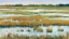 Picture of SERENE MARSHLAND I