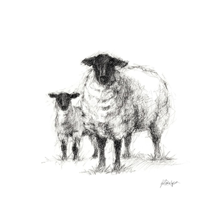 Picture of CHARCOAL SHEEP STUDY I