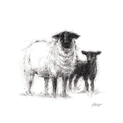 Picture of CHARCOAL SHEEP STUDY II