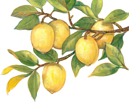 Picture of RIPE FOR PICKING I
