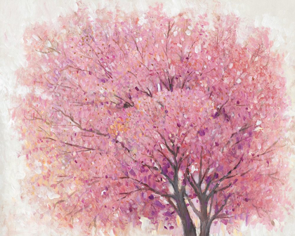 Picture of PINK CHERRY BLOSSOM TREE II