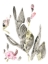 Picture of SHADOW GARDEN II