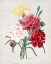 Picture of REDOUTE BOUQUET I