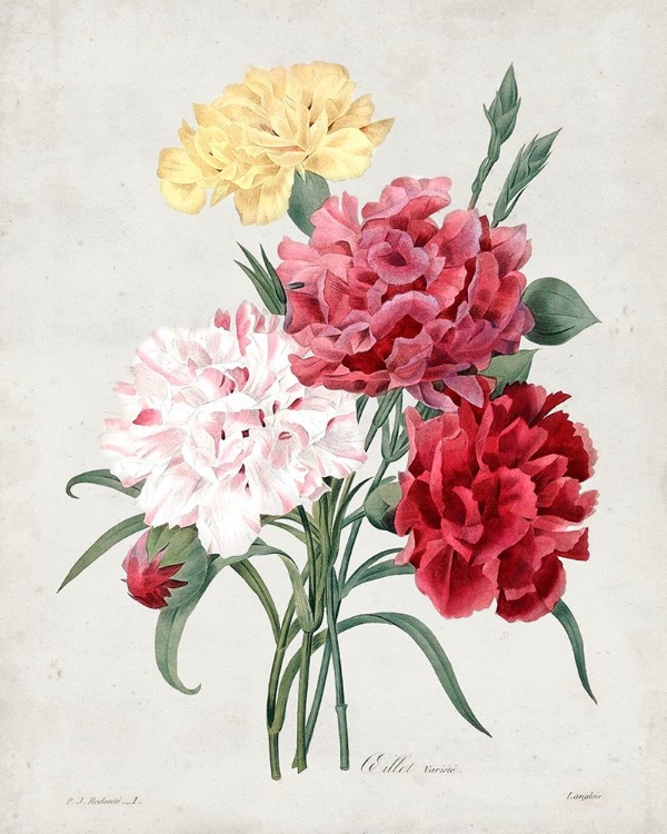 Picture of REDOUTE BOUQUET I