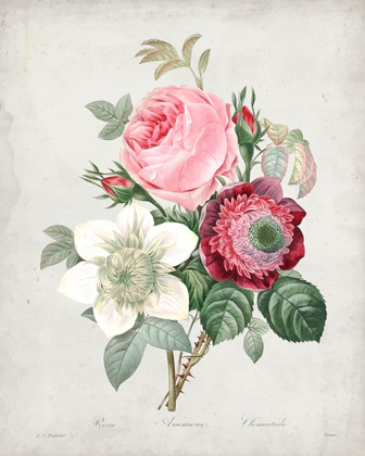 Picture of REDOUTE BOUQUET IV