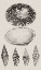 Picture of CHARCOAL AND LINEN SHELLS III